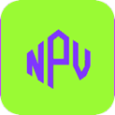 npv安全VPN